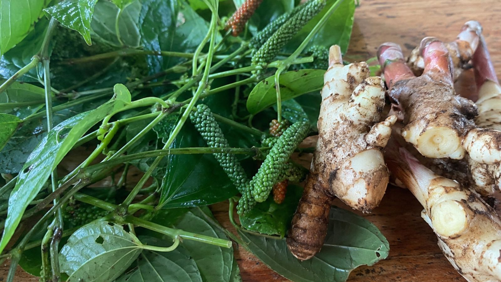 Cabe Puyang - ramuan tradisional pedas untuk sakit pinggang