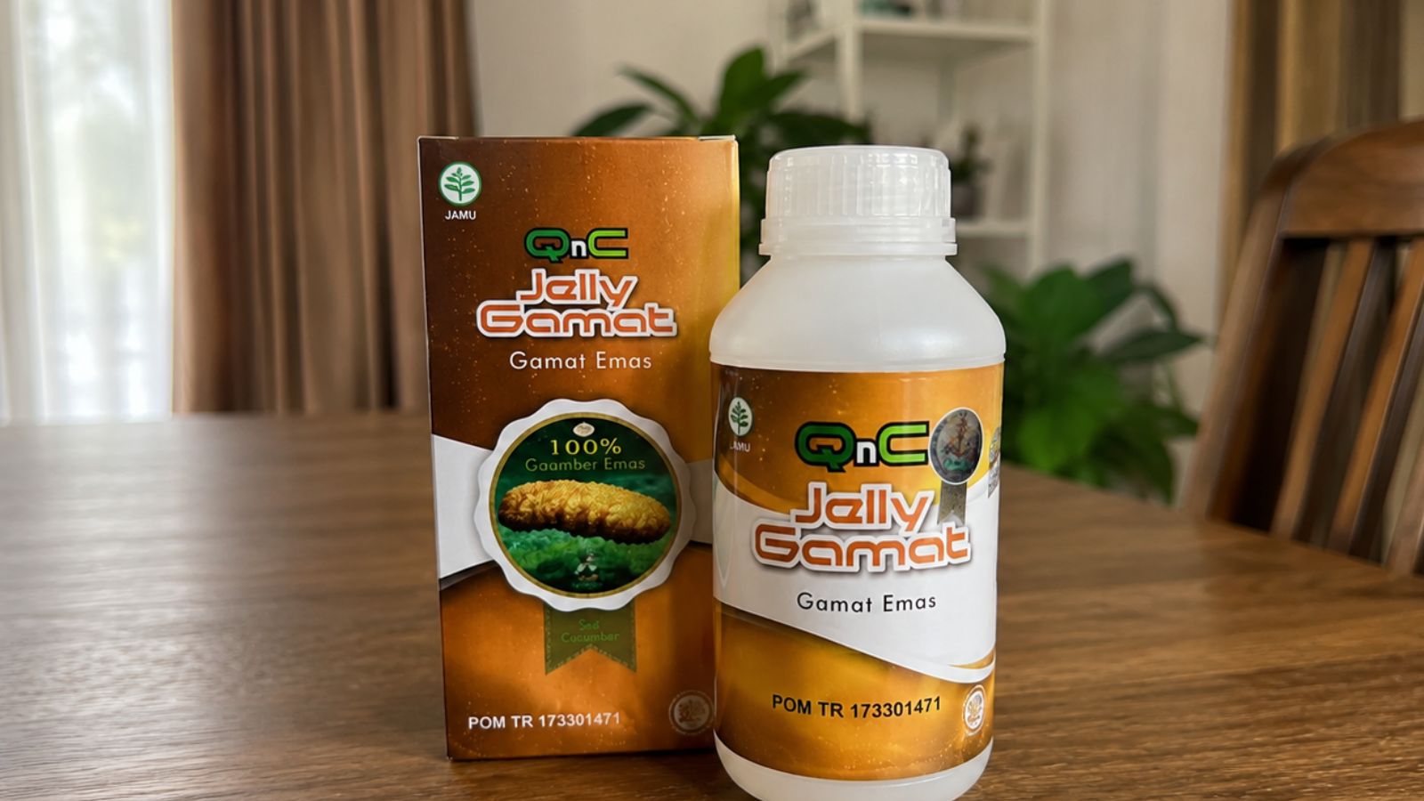 QNC Jelly Gamat - ekstrak teripang emas untuk sakit pinggang